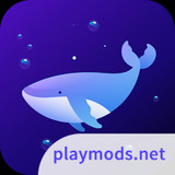 Dolphin VPN Fast Stable Apk v1.0.0