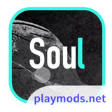 Soul Apk v4.72.0(Chinese Version)