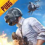 PUBG MOBILE:絕地求生MMod  Apk v2.9.0(TW)