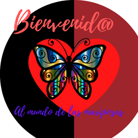 Mariposas hermosas