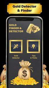 Gold Detector