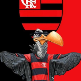 Stickers Flamengo - Figurinhas