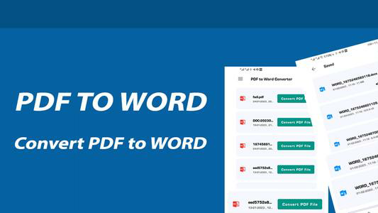 PDF To WORD Converter