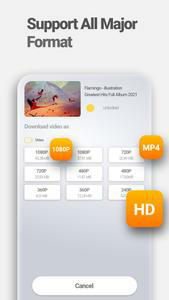 Download Video & Player