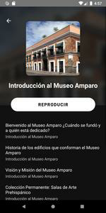 Museo Amparo Plus