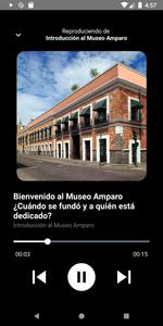 Museo Amparo Plus