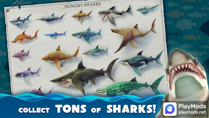 Hungry Shark WorldMod  Apk v5.4.0(Unlimited Money)