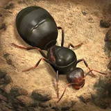 The Ants: Underground KingdomMod  Apk v3.29.0(TW)