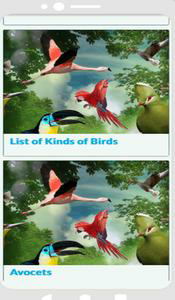 Birds Encyclopedia