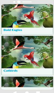 Birds Encyclopedia