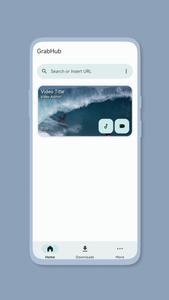 Video DownLoader - GrabHub