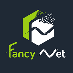 FancyNet