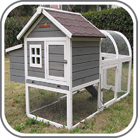 Design Chicken House Ideas