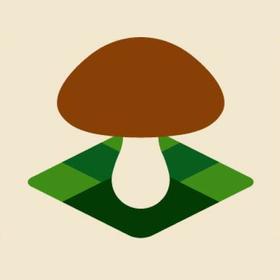 Mushroom Spot