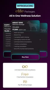 Monkoodog PetCare App