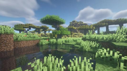 Textures and shaders