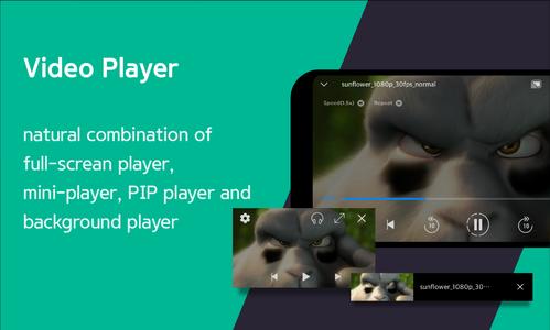 Video Player All Download