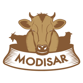 MODISAR