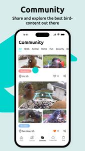 Birdfy