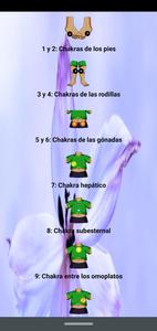 Chakras Secundarios desde Cero