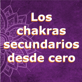 Chakras Secundarios desde Cero