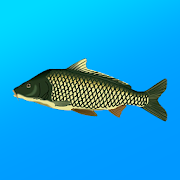 True Fishing. Simulator Mod APK 1.16.4.818 [Unlimited money][Unlocked][Premium][Unlimited]