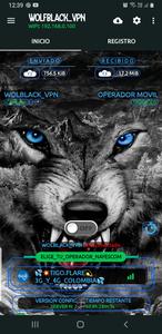 WOLFBLACK VPN