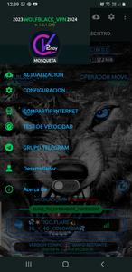 WOLFBLACK VPN