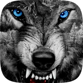 WOLFBLACK VPN