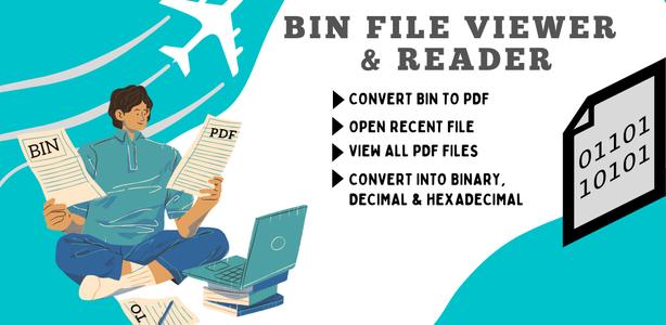 Bin File Viewer