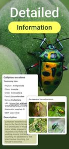 Insect Bug Identifier App