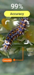 Insect Bug Identifier App