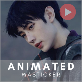 Sunghoon Animated WASticker