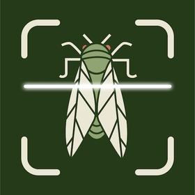 Insect Bug Identifier App