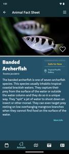 Aquarium Visitor Guide