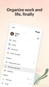 Todoist