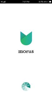 Morus Sip