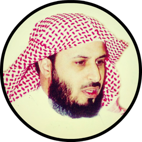 Saad Al Ghamidi Quran Offline