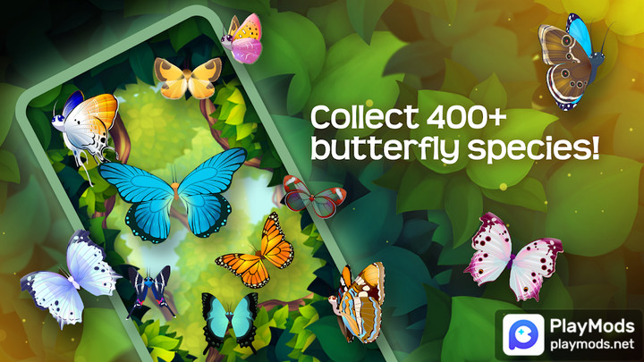 Flutter: Butterfly SanctuaryMod  Apk v3.202(Unlimited Money)