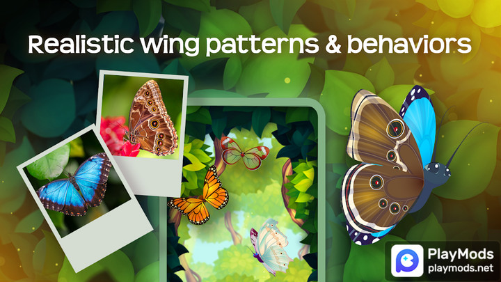 Flutter: Butterfly SanctuaryMod  Apk v3.202(Unlimited Money)