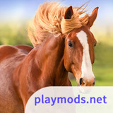 The HorseMod  Apk v1.1.3(Unlimited Resources)