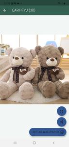 Teddy Bears Day