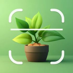 Bloomify - Plant Identifier