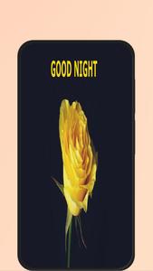 good night roses