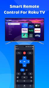 Roku Remote Control & TV Cast