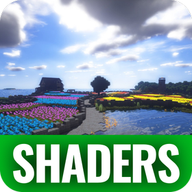 Shaders