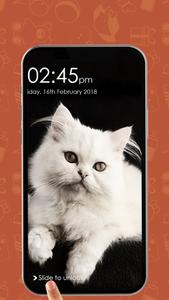 Kitty Cat Pin Lock Screen