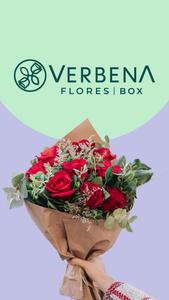 Verbena Flores