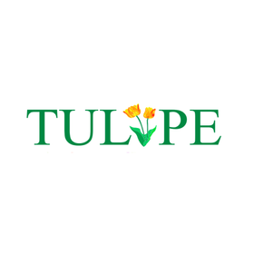 Tulipe