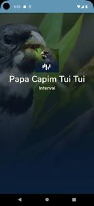 Papa Capim Tui Tui + Interval